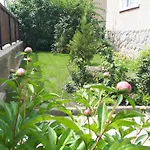 Nagyiek Haza / Granny's House *