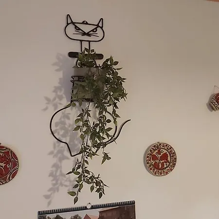 아파트 Nagyiek Haza / Granny's House 에스테르곰