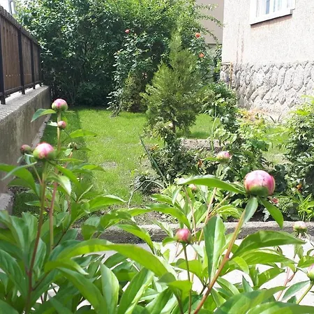 Nagyiek Haza / Granny's House *